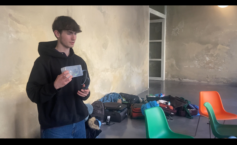 Red-light Green-light